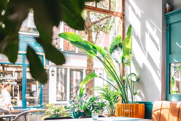 De Botanie — gluten-free restaurant in Delft