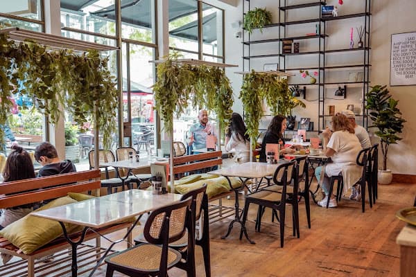 Teds Rotterdam Lijnbaan - All Day Food & Drinks — gluten-free restaurant in Rotterdam