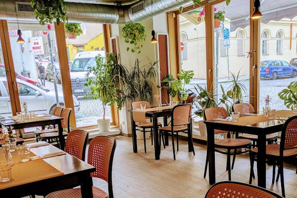 Restaurace U Agamy - gluten free — gluten-free restaurant in Prague