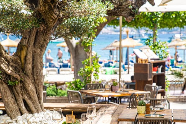 The Olive Tree Palmanova — gluten-free restaurant in Santa Ponsa