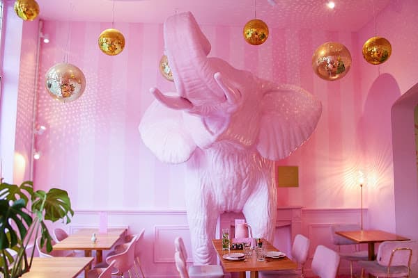 A Cup of Cake — gluten-free restaurant in Breda