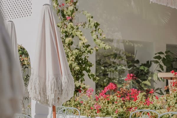 Rachel’s Eco Love — gluten-free restaurant in Marbella