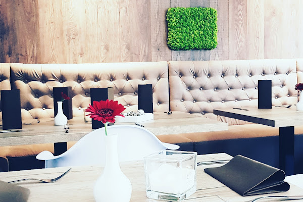 Green Elephant – Organic Restaurant — gluten-free in Munich