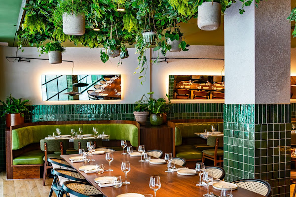 Olea Social — gluten-free in London