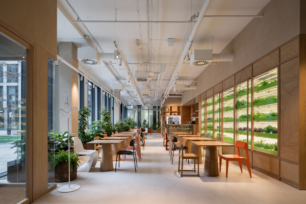 Green Table — gluten-free in Prague